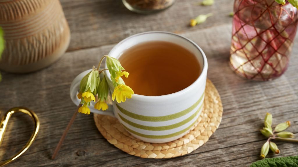 Die Magie der Pflanzen - Schlüsselblumen Tee gegen Husten
