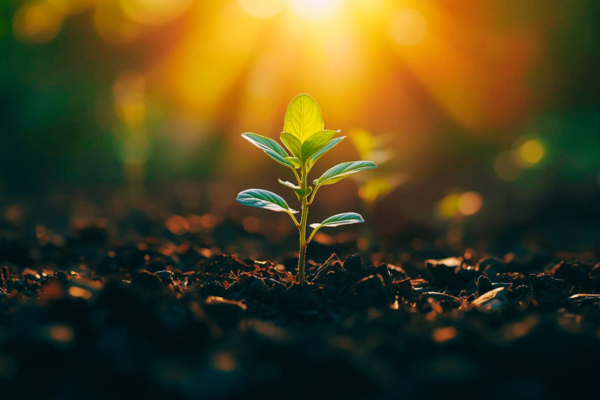 etwas neues entsteht, die Magie der zahlen
